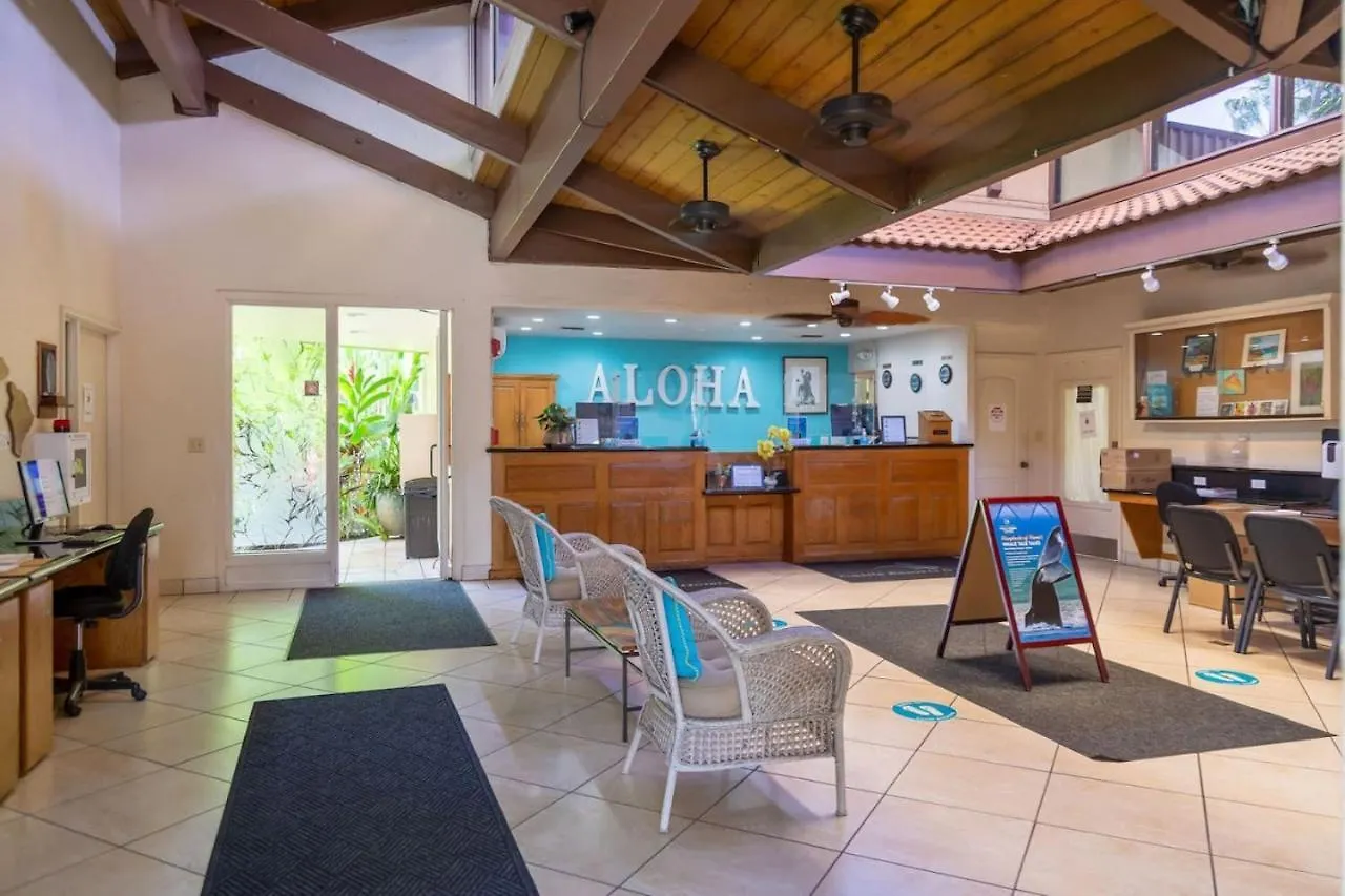 Apartman Steps To The Beach With Ocean View Wailea