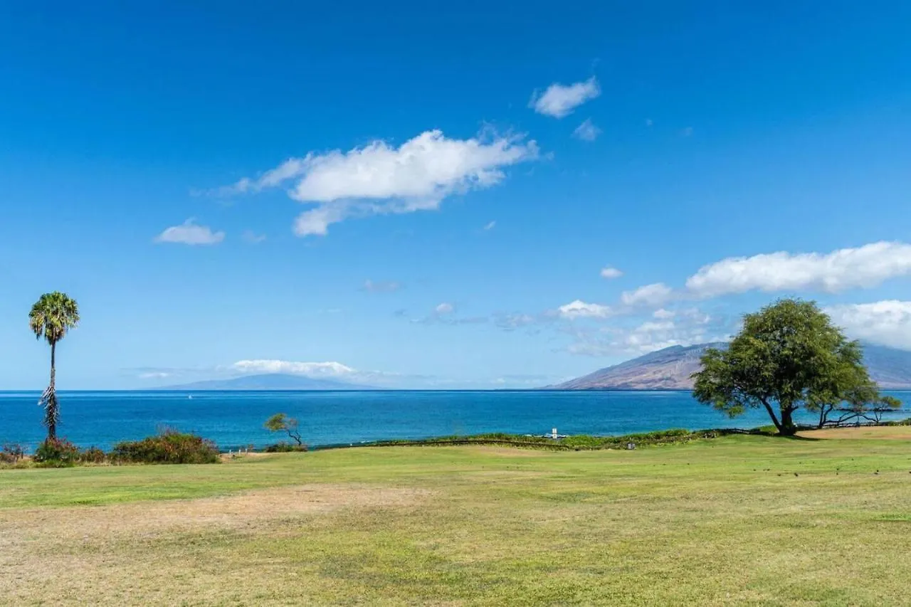 Steps To The Beach With Ocean View Wailea