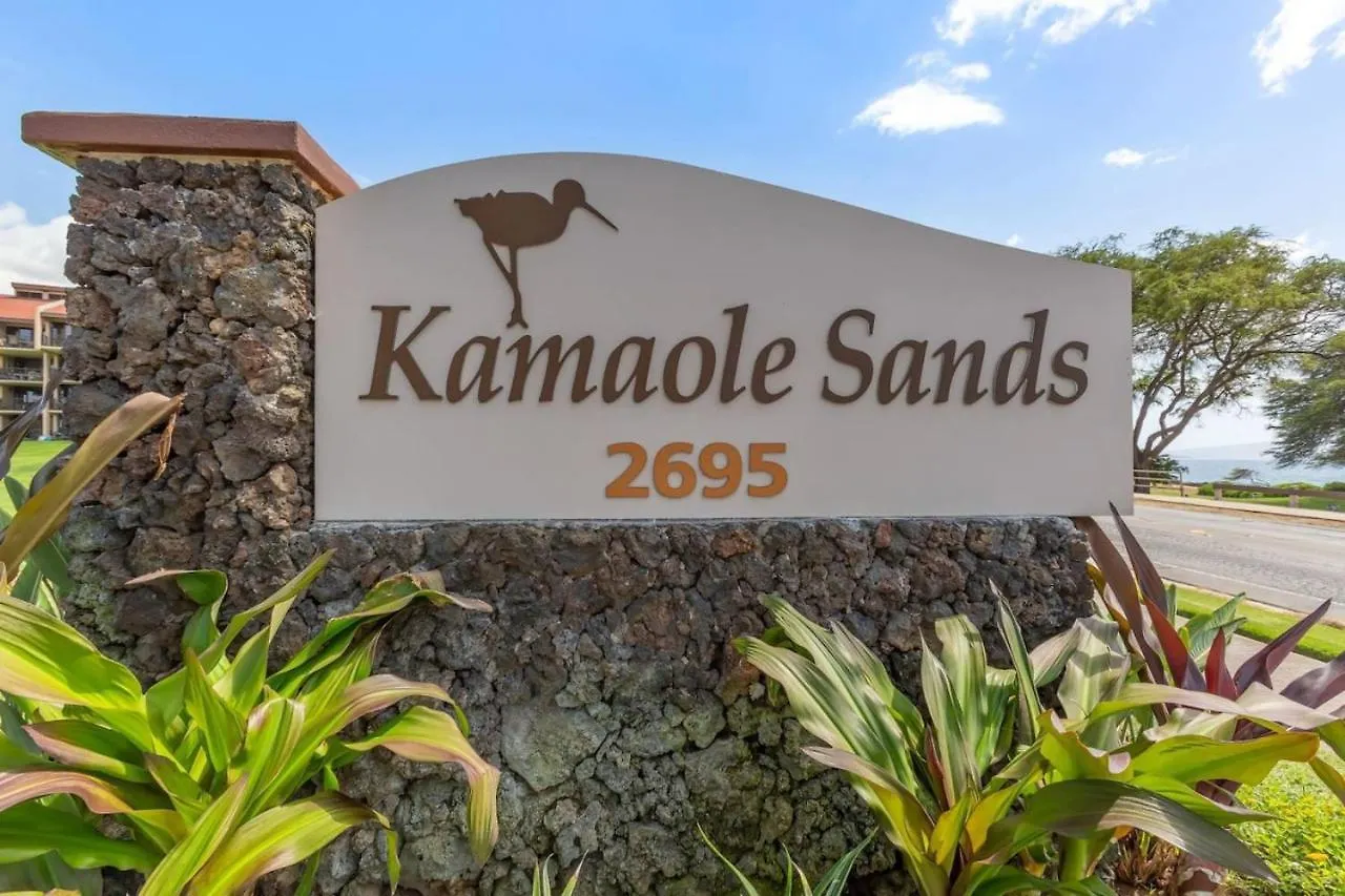 Steps To The Beach With Ocean View Wailea